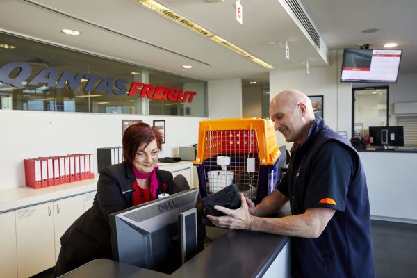 The specific safety protocols and guidelines you follow to ensure pet transportation